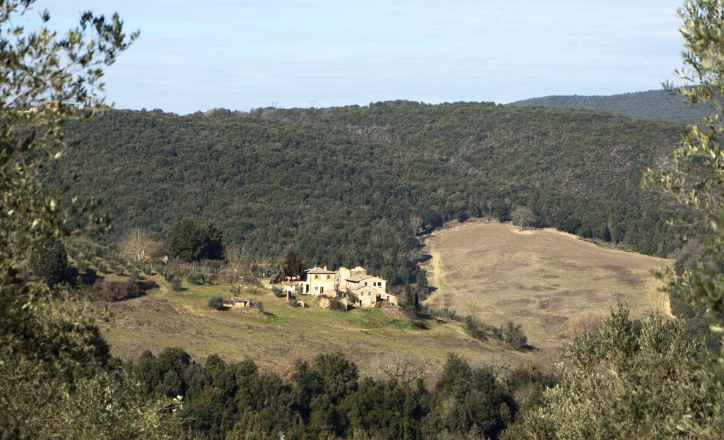 Casa Ollie Apartment Castel San Gimignano Exterior photo